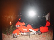 la moto diali