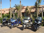 GoLdWiNg